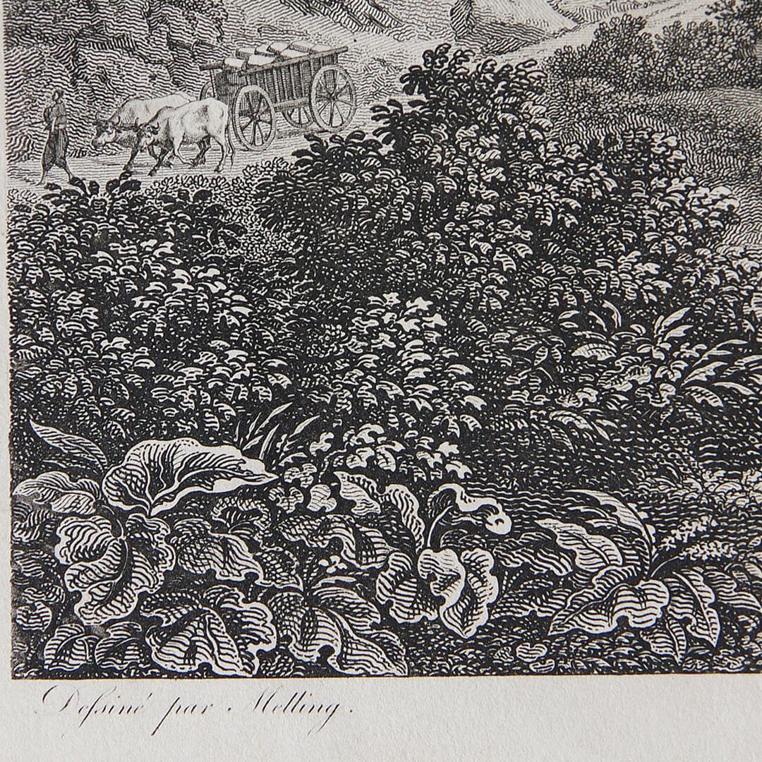 meling-maglova-4.jpg