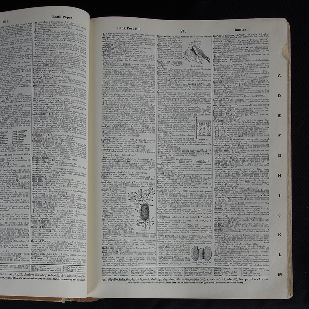 AKGF6210 copy